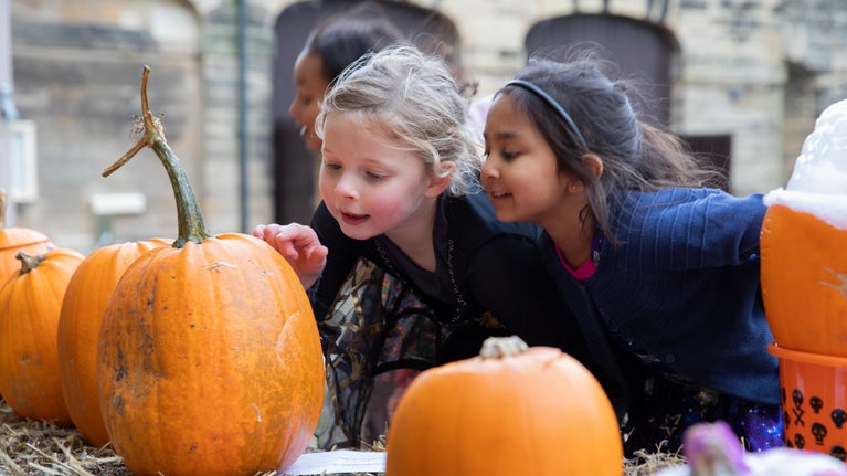 children exploring the carved pumpkins on Halloween at Northumberland's Seaton Delaval Hall